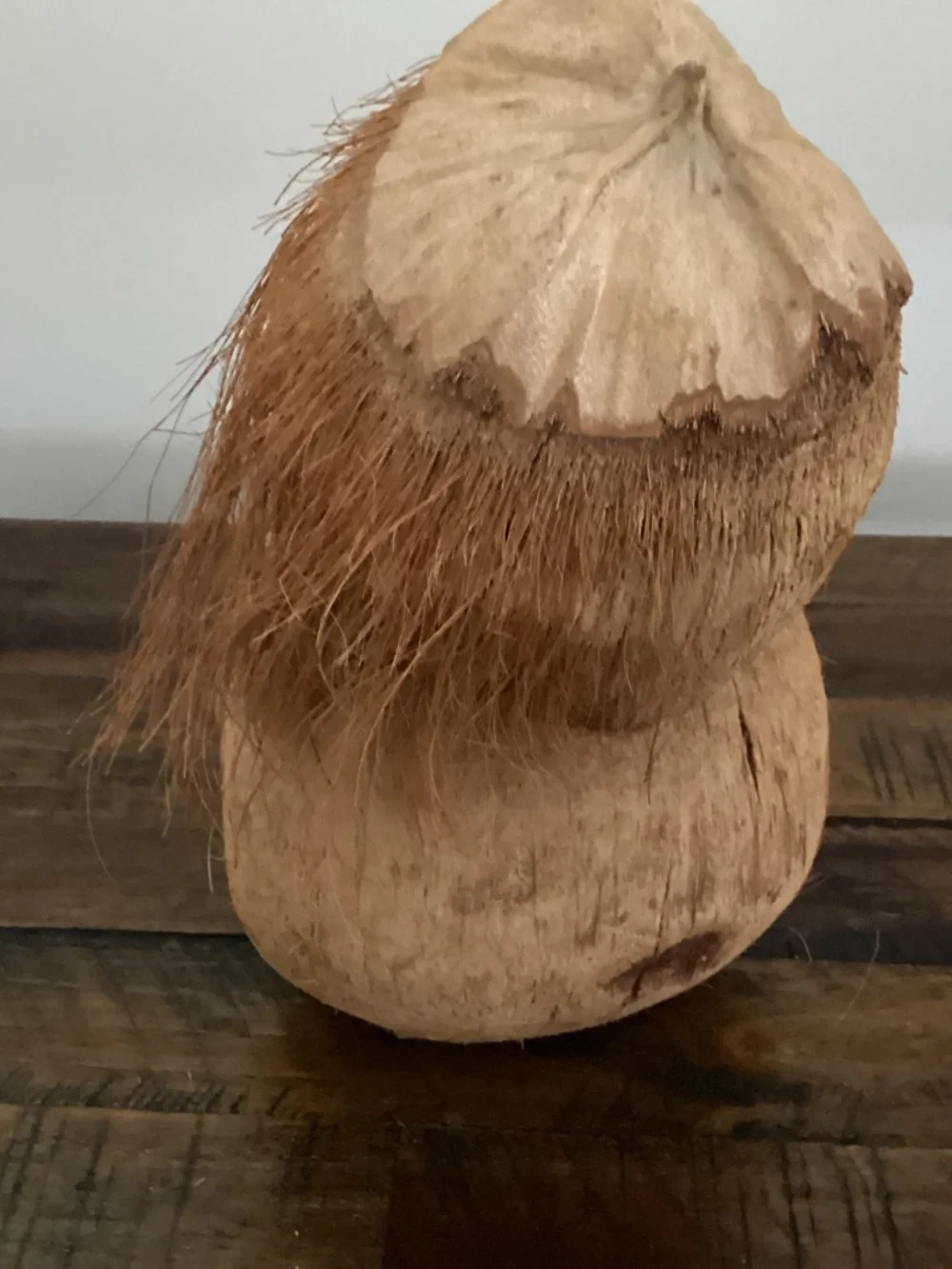 Vintage Souvenir Tiki Hawaiian Tropical Carved Coconut Monkey Figure